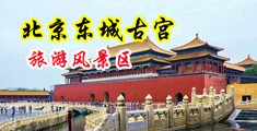 烂货尻屄群淫中国北京-东城古宫旅游风景区